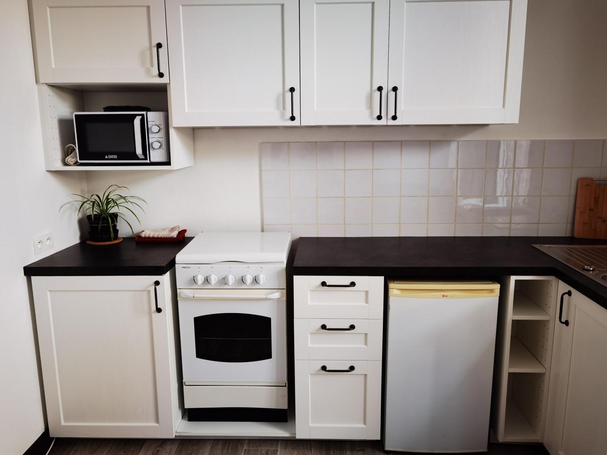 Les Camelias Apartment Le Mont-Dore Exterior photo